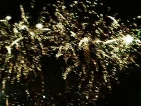 feu d'artifice des vendanges de Montmartre 2010