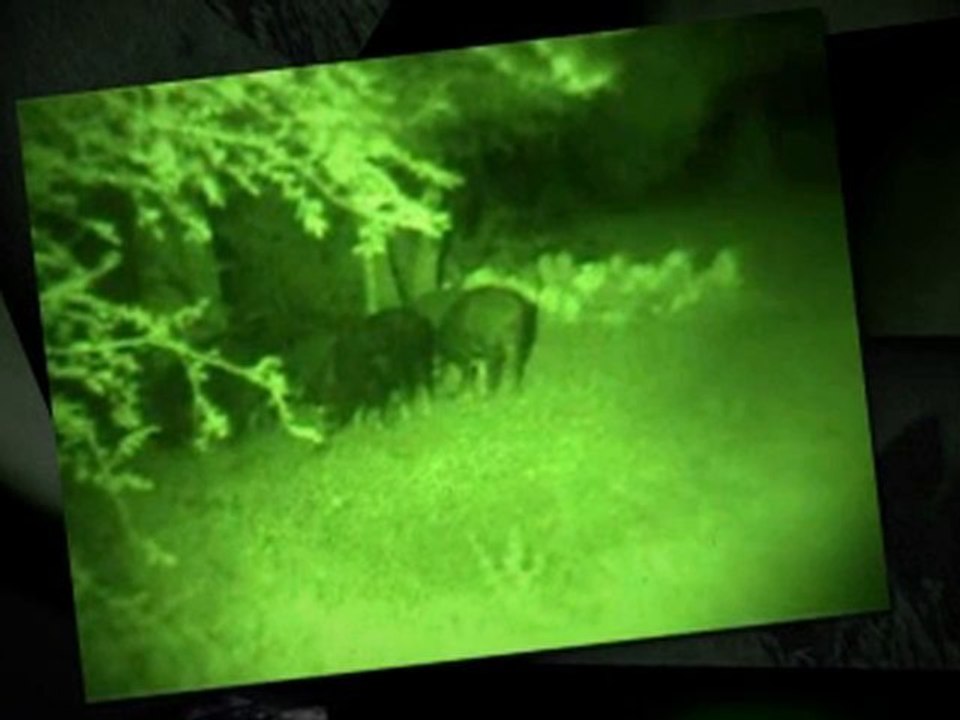 VisionintheDark.com