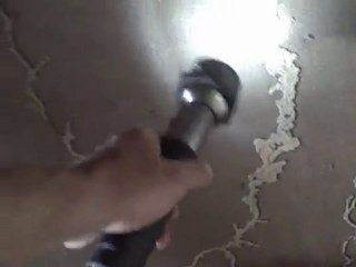 Gastonia Home Inspector Finds Termites