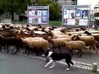 La révolte des lycéens