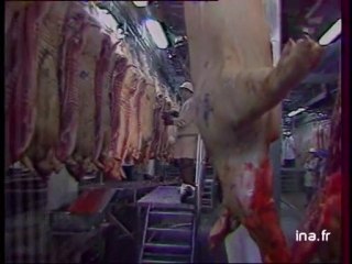 JA2 20H : EMISSION DU 05 FEVRIER 1984