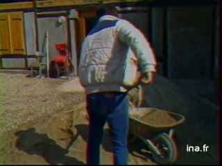 JA2 20H : EMISSION DU 29 AVRIL 1984