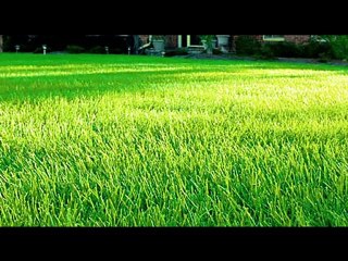 Sprinkler Systems Bergen County- Sprinkler Systems