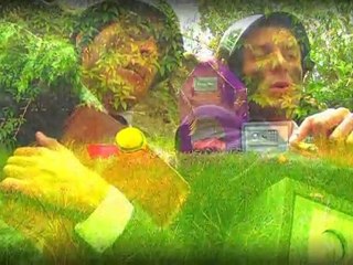 Comment Ca Marche - Pilote no2: Les Niches Fiscales