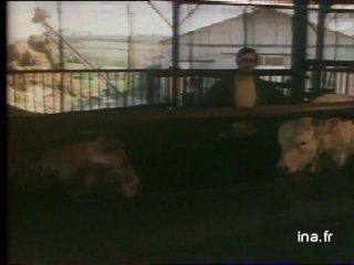 JA2 20H : EMISSION DU 22 AVRIL 1980