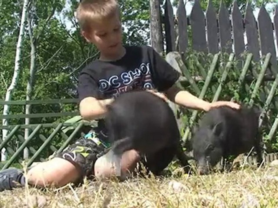 Blommer Örebro Län Lindesberg PLANTMARKNADEN