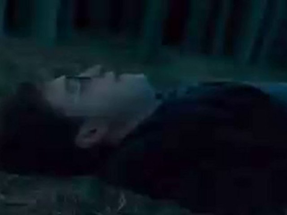 HP7 Scream Awards