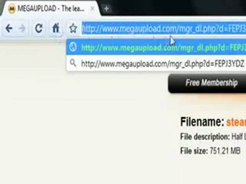 MegaUpload Instant Download Hack + Download October 2010.