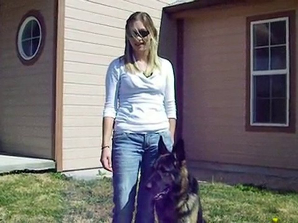 Anti-Stalker Dogs from CQB K-9