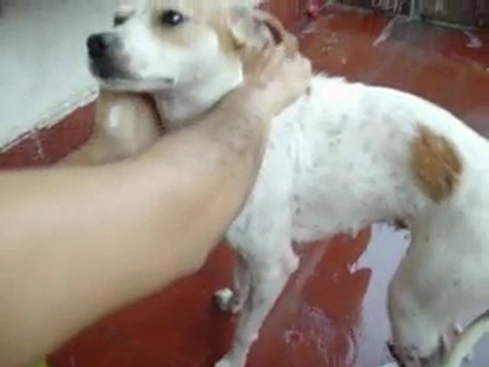 POBRE DETHSITA Y ROTTEN