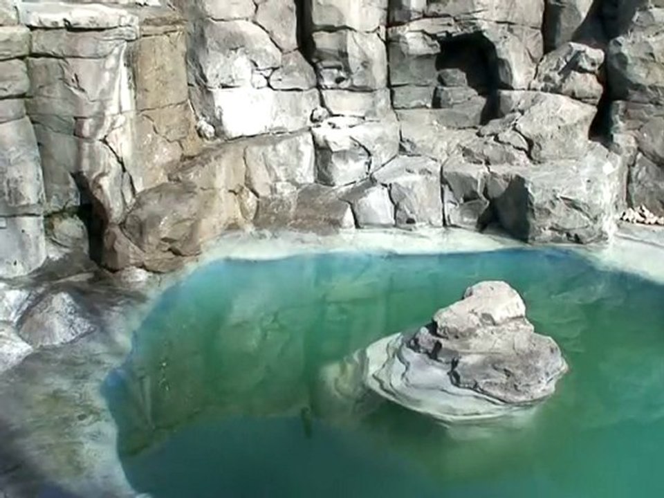 NATURALEZA MISTERIOSA