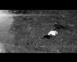 Soner Sarıkabadayı - Sadem