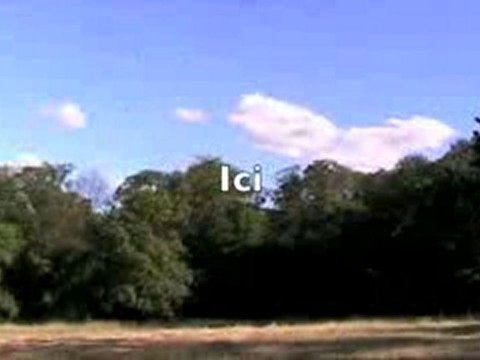 TAI CHI . SÉANCES - SOLEIL - DAVID BALY PROFESSEUR DE TAI CH