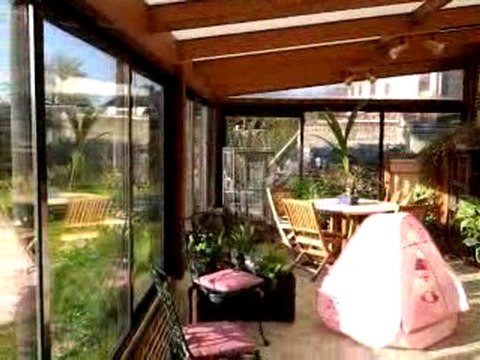 tite perruche en vol libre