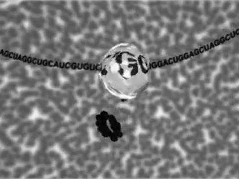 Sous le feu des ondes Animation