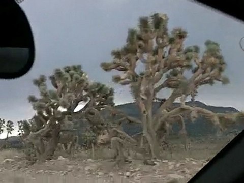 Paris - Dakar / Etape du Grand Canyon - Partie 1