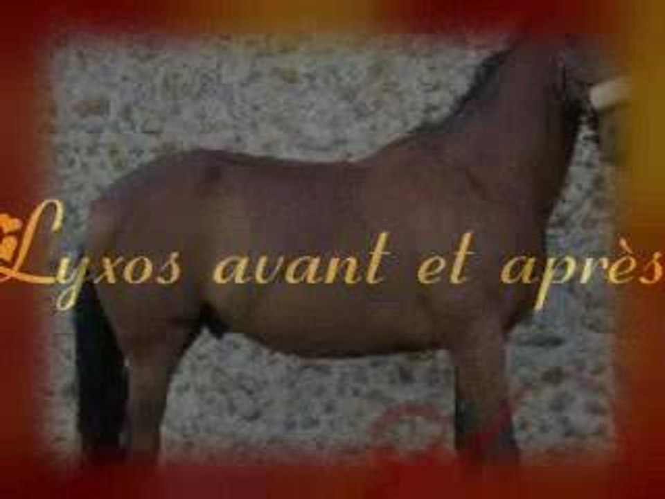 Lyxos