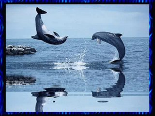 YAVUZ BİNGÖL NURŞAH