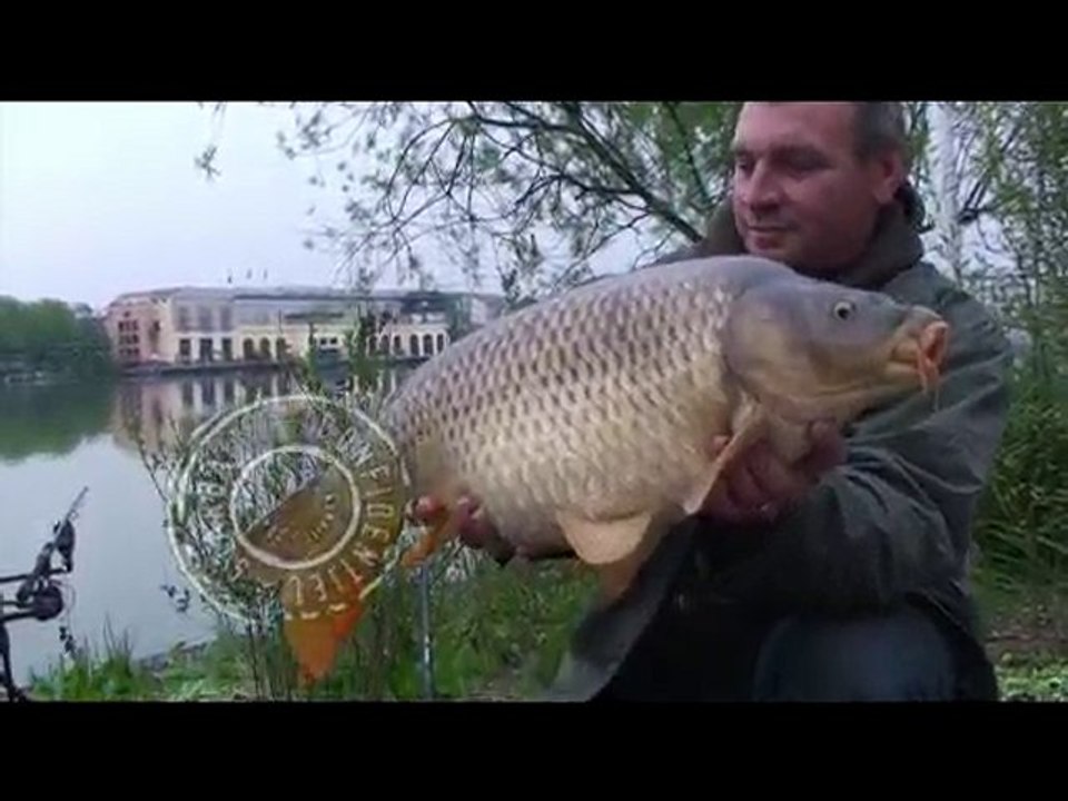 Teaser DVD Mission Test Starbaits