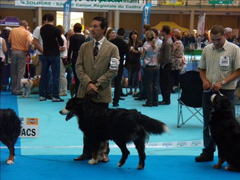 ORLEANS 9.10.10  CYRIUS  , EVEREST et F.FB.I.