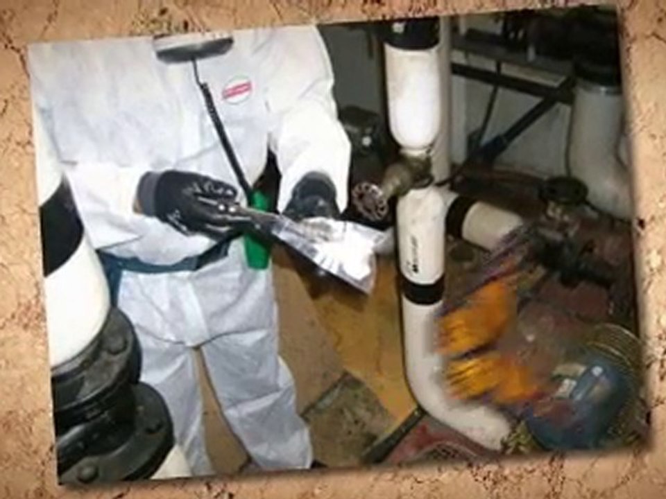 Grants for Asbestos Removal  Round Rock TX