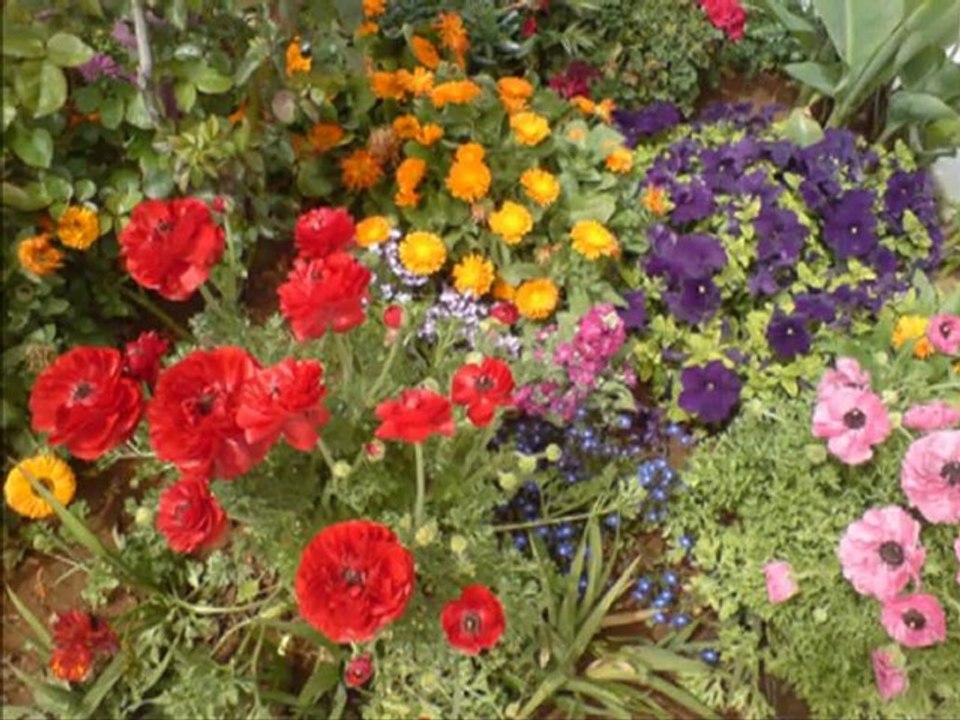 Emel Taşcıoğlu-Kesik Çayır