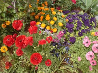 Emel Taşcıoğlu-Kesik Çayır