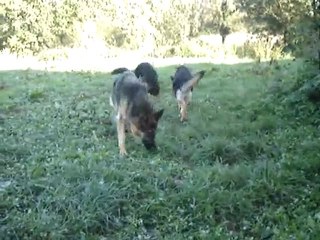 Etna, Fakira et Farouk de la Vallée des Secrets