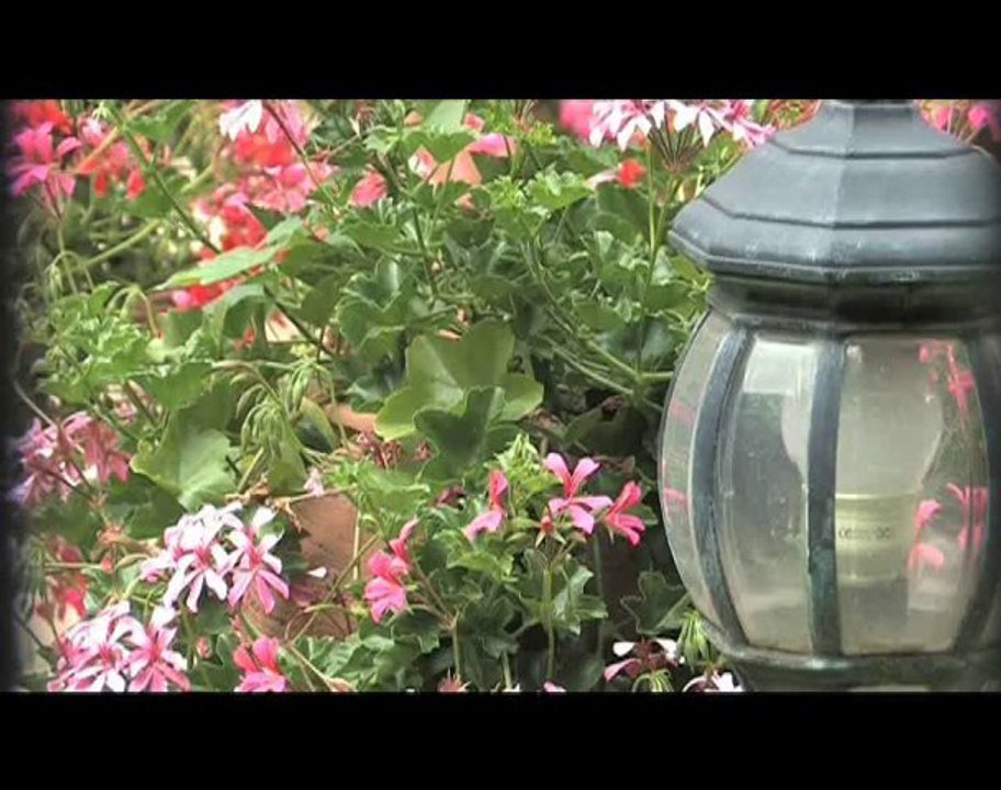 Concours Maisons fleuries 2010