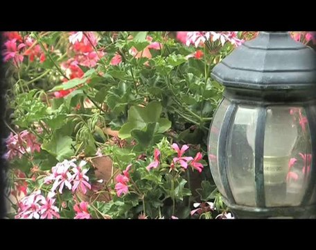 Concours Maisons fleuries 2010