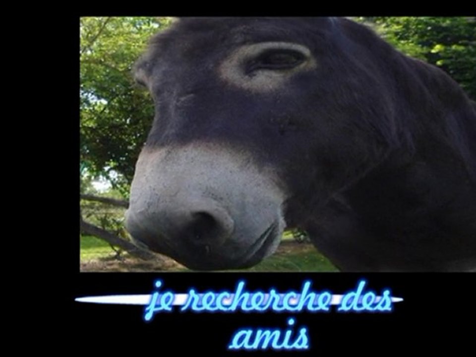 Je recherche des amis