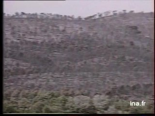 19/20 : EMISSION DU 20 JUILLET 1991