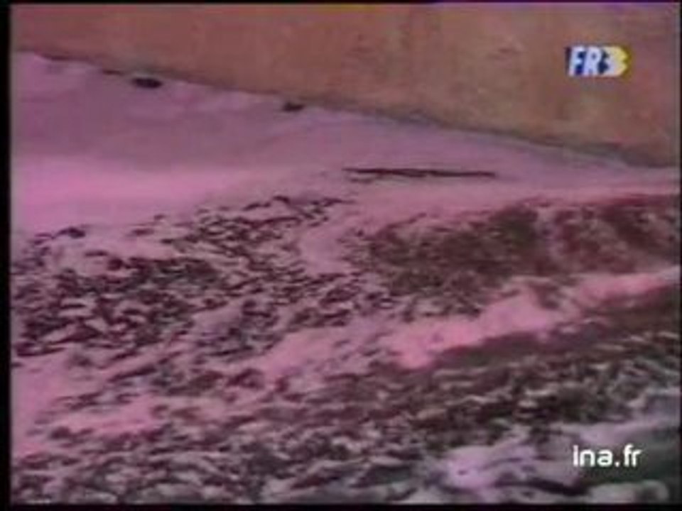 19/20 : EMISSION DU 23 OCTOBRE 1991