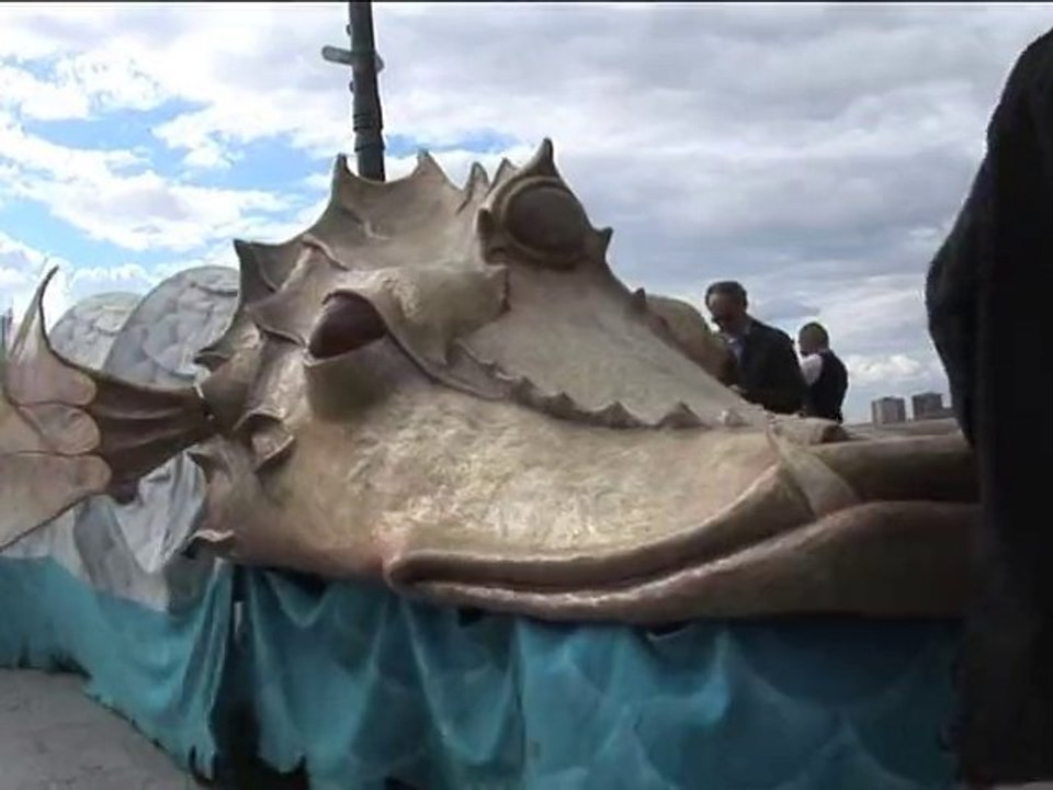 Festival Occitania - Toulouse 2010