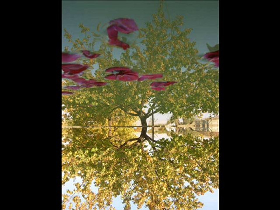 candan erçetin dayan