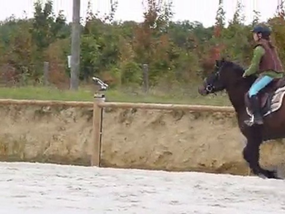 Roisin jump