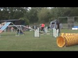 Agility St Nazaire D'jump 2010