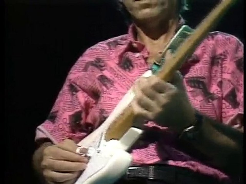 THE VENTURES Ellie My Love
