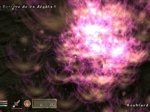 Oblivion HD - PC - Guilde des voleurs 8