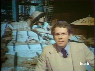 JA2 20H : EMISSION DU 23 JANVIER 1978