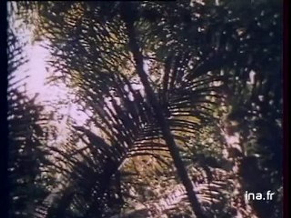 JA2 20h : émission du 5 octobre 1978