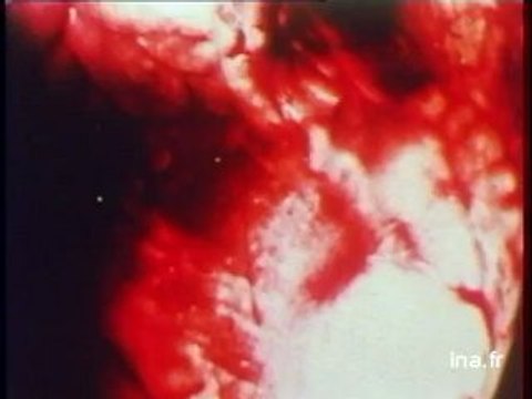 JA2 20h : émission du 23 octobre 1978