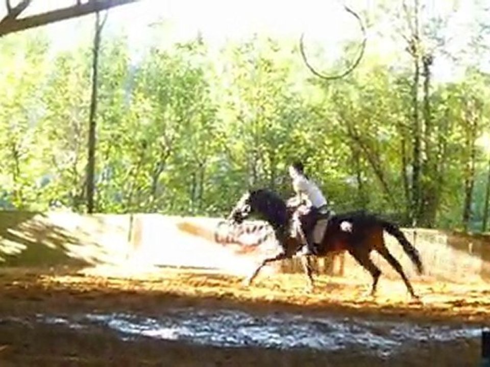 Selma - concours du 10/10/10 Montfrais
