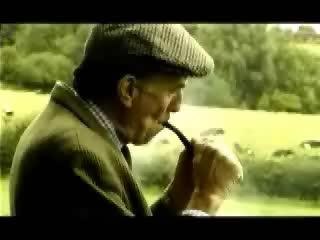 funny commercial shepherds dog