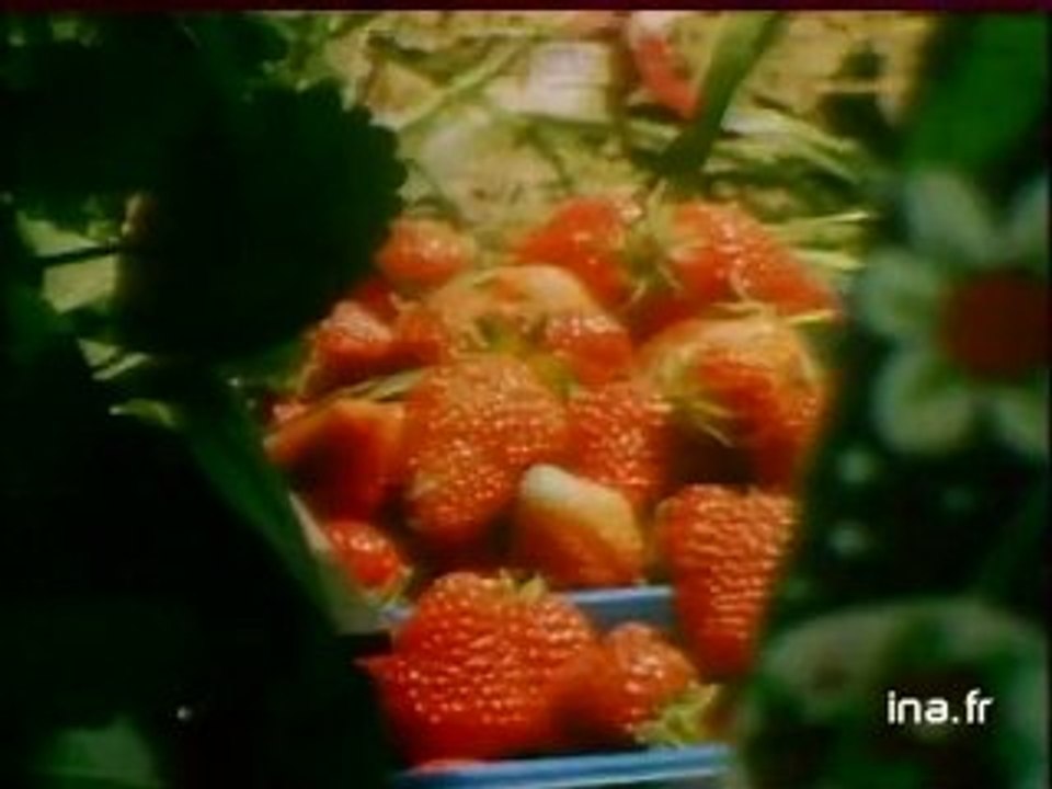 JA2 20h : émission du 11 juin 1978