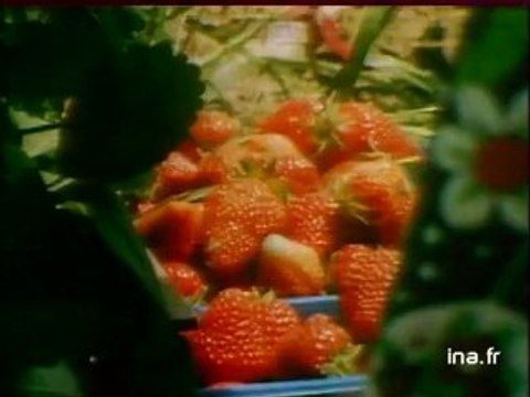 JA2 20h : émission du 11 juin 1978