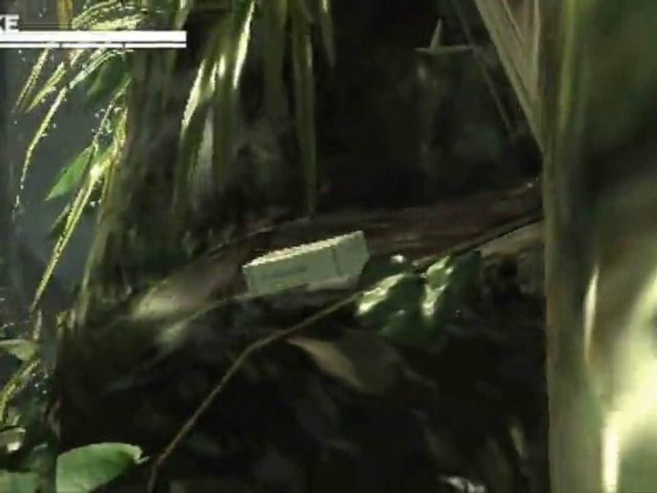 Metal Gear Solid 3DS