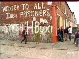 JA2 20H : EMISSION DU 20 MAI 1981