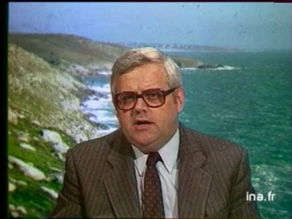 JA2 20H : EMISSION DU 29 MAI 1981