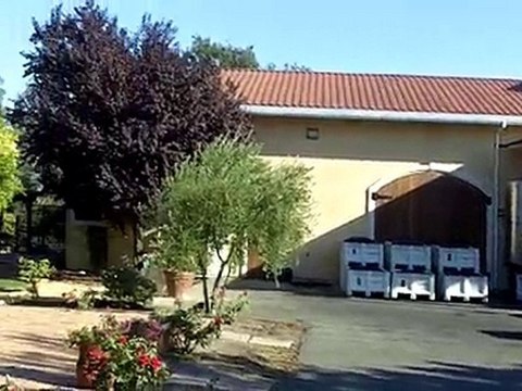 Summers Winery with Amicis Tours